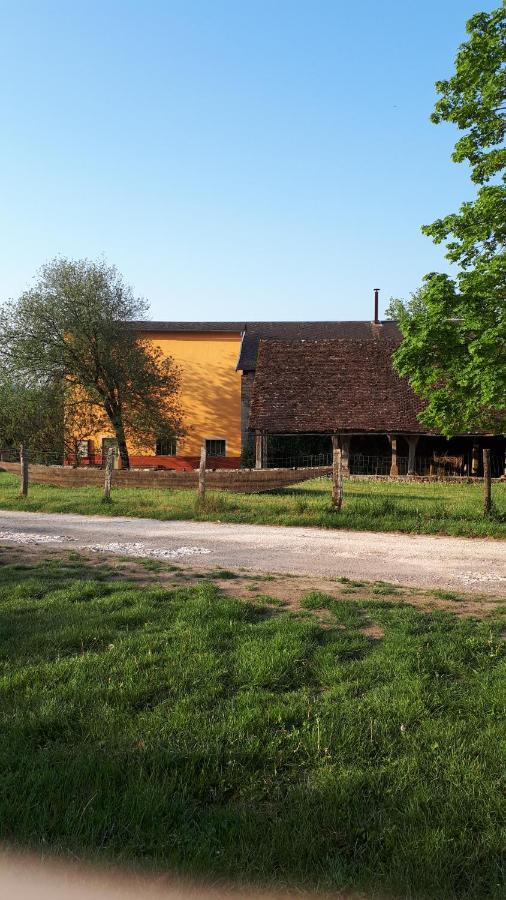 La Maison Du Potier Proche De Guedelon Saint-Amand-en-Puisaye Екстериор снимка